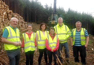 coillte group 1